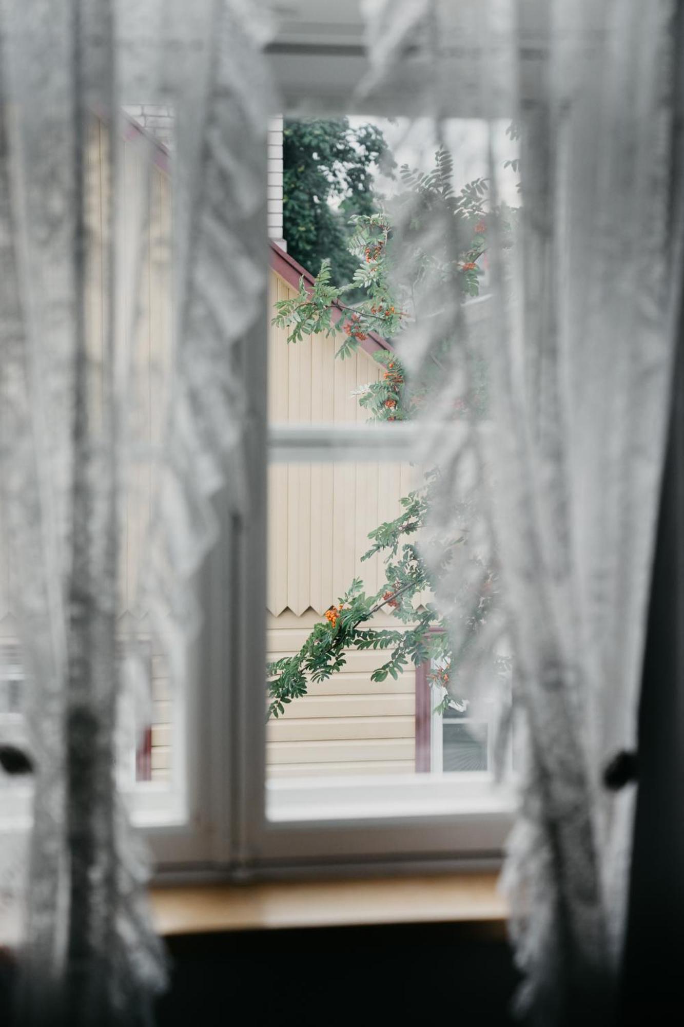 Tiiker Haapsalu